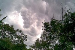 Cơn mưa đằng đông