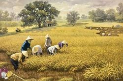 Nẻo về quê cũ