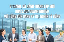 6 tháng, Đà Nẵng thành lập mới 3.407 doanh nghiệp, với tổng vốn đăng ký 19,1 nghìn tỷ đồng