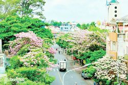 Ða dạng sinh học giữa lòng đô thị