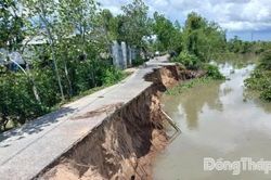 Đồng Tháp: Chủ động triển khai các giải pháp ứng phó sạt lở bờ sông, kinh, rạch