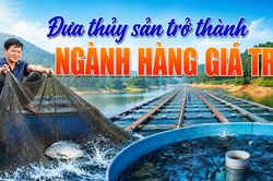 Đưa thủy sản trở thành ngành hàng giá trị