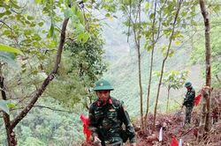 Giải phóng những 'vùng đất chết'