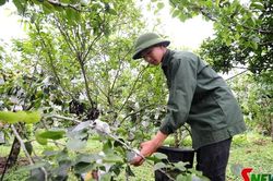 Lê Tai Nung Phiêng Khoài khẳng định thương hiệu trên thị trường