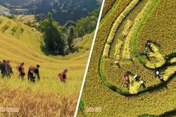 Phim tài liệu: Lào Cai - Tuyên Quang: Một dải biên cương hòa nhịp phát triển