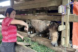 Tạo chuyển biến toàn diện vùng đồng bào dân tộc thiểu số và miền núi