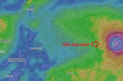 Siêu bão Bavi có thể gây ảnh hưởng tới Biển Đông