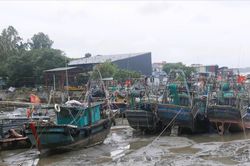 B&atilde;o số 1 l&agrave;m g&atilde;y c&acirc;y, tr&ocirc;i b&egrave; nu&ocirc;i hải sản tại Quảng Ninh