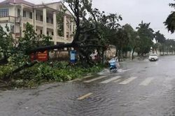 Quảng Ninh tổng lực khắc phục hậu quả bão số 1