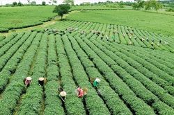 Gỡ điểm nghẽn thủ tục cho doanh nghiệp n&ocirc;ng nghiệp, m&ocirc;i trường