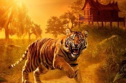 Tìm hiểu về quan niệm 'tam chủng họa' trong trang trí nhà của người xưa