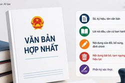Văn bản hợp nhất được trình bày theo quy định kỹ thuật nào?