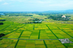Bộ Tài chính hướng dẫn xác định đối tượng được giảm tiền sử dụng đất