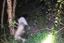 Phát hiện cô gái đa chấn thương tử vong trong bụi tràm, gần đó có chiếc xe máy