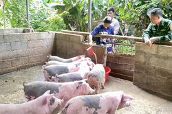 'Gieo mầm' no ấm nơi phên dậu Tổ quốc