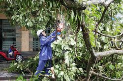 Móng Cái tan hoang sau bão số 1: Ngập sâu, cây đổ ngổn ngang nhiều nơi