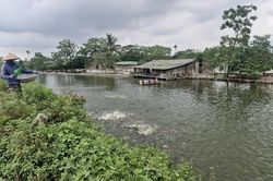X&atilde; Ph&uacute; Xuy&ecirc;n: Sản lượng nu&ocirc;i trồng thủy sản đạt tr&ecirc;n 5.000 tấn