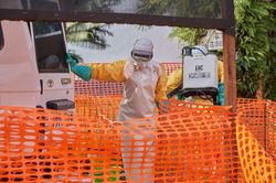 Dịch Ebola tại Congo: Số ca tử vong l&ecirc;n tới 492 người