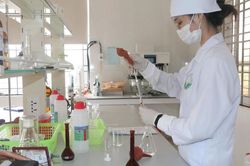 Đề xuất siết điều kiện sản xuất, lưu thông chế phẩm diệt côn trùng, diệt khuẩn