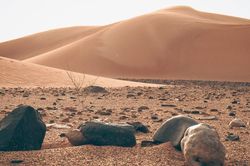 Viên đá lạ tại sa mạc Sahara hé lộ bí mật sửng sốt về hệ Mặt Trời