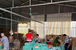 Khởi tố đối tượng sản xuất, bu&ocirc;n b&aacute;n tr&agrave; giả