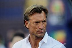 HLV Herve Renard từ chức sau 18 ngày cầm quân tại World Cup 2026