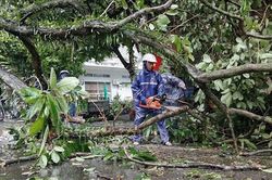 Quảng Ninh dồn lực sớm ổn định cuộc sống