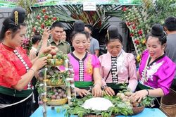 Sơn La đẩy mạnh hỗ trợ đăng ký doanh nghiệp, hộ kinh doanh