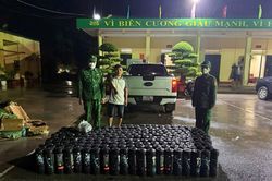 Quảng Ninh: Ph&aacute;t hiện đối tượng vận chuyển 200 b&igrave;nh kh&iacute; n&eacute;n nghi l&agrave; kh&iacute; N2O