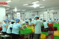 [Video] Duy trì đà tăng trưởng xuất khẩu nông sản
