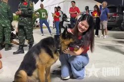 Đội quân khuyển của đoàn Việt Nam tham gia cứu hộ động đất tại Venezuela: 'Ngọn hải đăng của hy vọng'