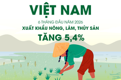 Xuất khẩu nông, lâm, thủy sản đạt gần 35,9 tỷ USD trong 6 tháng đầu năm 2026