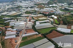 Th&ocirc;ng tuyến đường Cam Ly - Phước Th&agrave;nh tại Đ&agrave; Lạt