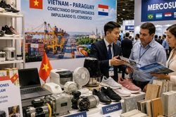 Nền tảng số tăng hiệu quả hỗ trợ doanh nghiệp mở rộng thị trường xuất khẩu