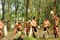 Lễ ăn than - Nghi lễ nông nghiệp quan trọng của người Gié Triêng