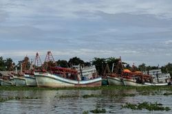 An Giang siết quản lý tàu cá, xử lý dứt điểm tồn tại trong chống khai thác IUU