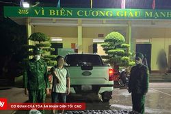 Bắt giữ ô tô vận chuyển 200 bình khí cười không rõ nguồn gốc