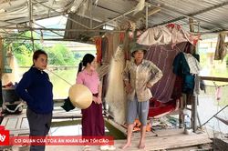 Cơ quan chức năng v&agrave;o cuộc điều tra vụ c&aacute; chết h&agrave;ng loạt tr&ecirc;n s&ocirc;ng Lam