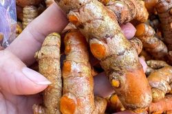 Gia vị quen thuộc với người Việt chứa hoạt chất được giới khoa học quan tâm