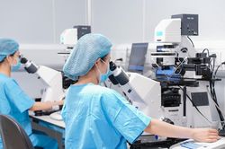 Kỹ thuật 'hoạt hóa noãn' - cơ hội tạo phôi cho những ca IVF khó