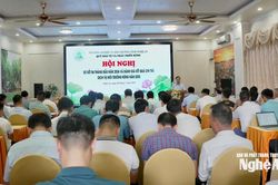 Quỹ Bảo vệ và Phát triển rừng Nghệ An triển khai nhiệm vụ 6 tháng cuối năm 2026