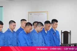 Thuê trụ sở ở Campuchia để lừa đảo người Việt, 8 bị cáo lĩnh án tù