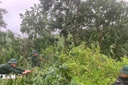 Thời tiết ngày 6/7: Bắc Bộ và Bắc Trung Bộ cục bộ có mưa to trên 100mm