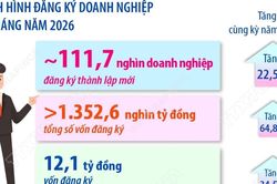 6 tháng năm 2026: Số doanh nghiệp thành lập mới tăng 22,5%