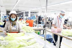 Dệt may Việt Nam duy tr&igrave; đ&agrave; tăng trưởng, xuất si&ecirc;u gần 10 tỷ USD