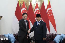 Indonesia và Singapore thúc đẩy hợp tác toàn diện, củng cố liên kết ASEAN