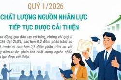 Quý II/2026: Chất lượng nguồn nhân lực tiếp tục được cải thiện