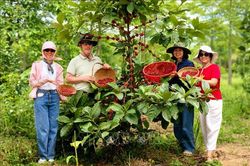 Định vị Khe Sanh trên bản đồ du lịch cà phê châu Á