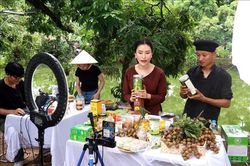 Yếu tố giúp tăng doanh số bán hàng qua livestream