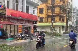Bão số 1 khiến gần 90.000 khách hàng bị mất điện